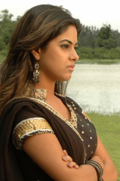 vaana movie, meera chopra acted 