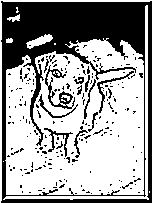 Foothills Hunting Dogs