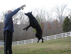 Mike Caporicci and Nitro
