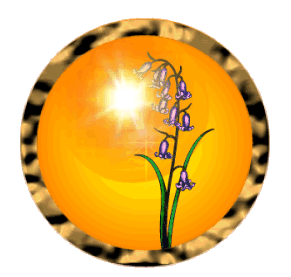 Circular, deep-gold, metallic, textured frame
surrounds an image of a green-leafed, violet-purple
wood hyacinth centered against a background of
amber/sunset yellows and oranges, and a sun of
blazing white light. The background almost looks
like a polished amber gem. The uppermost blossoms
of the hyacinth hang in front of the sun and are
illuminated with a soft yellow light as though
kissed by the sun (i.e. the Apollo).