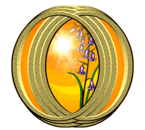 Same as above image except for the surrounding
frame: three metallic, golden rings from the left
and three from the right interlock/interweave to
form a center space. The amber background of the
image shows through crescent-shaped spaces to either
side of the central space through which shows the
blazing sun and wood hyacinth flower.