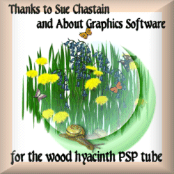 A thank you linkware plaque I made for Sue Chastain,
at about.com, to thank her for the wood hyacinth PSP tube.
Plaque has an apricot-beige border and an off-white
background. The Paint Shop Pro, tube-created picture
consists of a circular area on the background made from
tubes of grass blades, butterflies, dandelion blossoms,
two garden snails, and Sue's blue-flowered wood hyacinths.
Reminds me of the back yard of a rural house I lived in.
The font used in the thank you message is Menuetto.

PS. Wood hyacinths naturalize extremely well; they will
pop up all over your lawn April-time if you let them
--it's quite lovely to see. They also come in pink and
white,