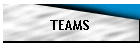 TEAMS