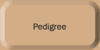Baron Pedigree