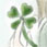 Four Leaf Clover