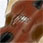 Quatre playing Violin