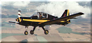 Bulldog T1