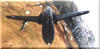 Hawk T1A