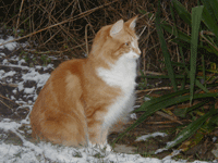 December 2003