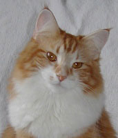 Aurora von Friberg