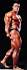 Dorian Yates
