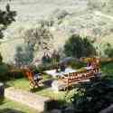 A Panzano back yard