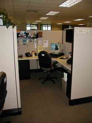 Where I work