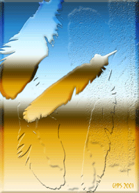 Feathers 2