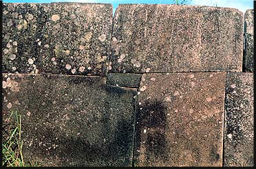 wall2.jpg (49605 bytes)