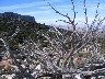 Nearing the top of mt. Muela (with "Spud")&nbsp; - Christmas day 2004
