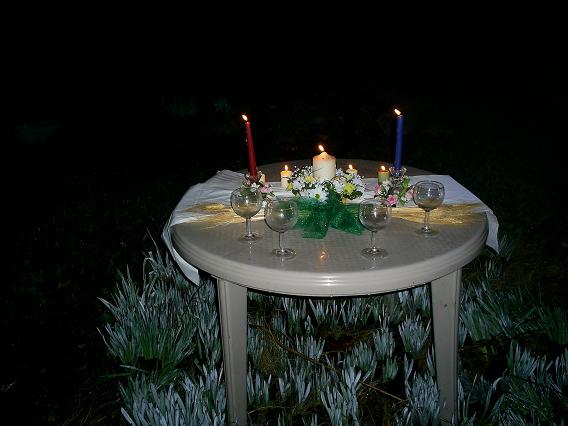 The Alter