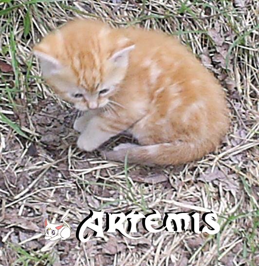 Artemis