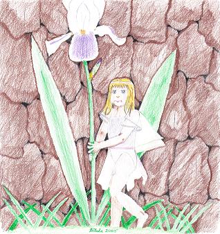 April S. Walls-Stuart - Iris Fae