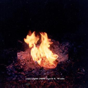April S. Walls-Stuart - Flames