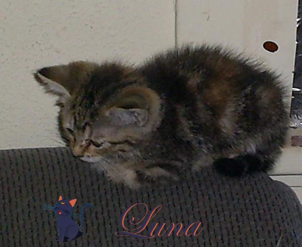 Luna