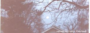 April S. Walls-Stuart - The Moon