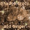 Shadoe and Ginger