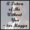 A Picture Of Me Without You