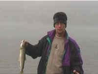 lower_post_ted_fish.jpg (71394 bytes)