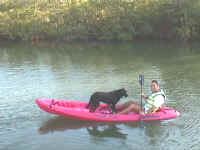 kayak2.jpg (57309 bytes)