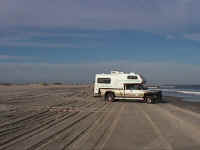 bfocrabeach.jpg (54718 bytes)