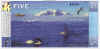 antarctica$5-r.jpg (51152 bytes)