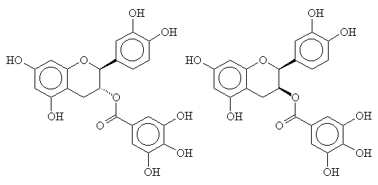 galloyl catechin