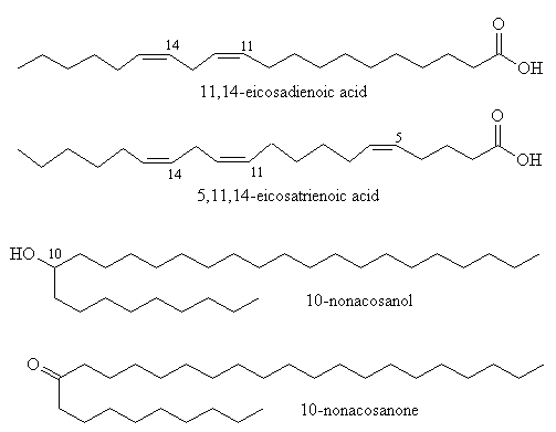 structure of long-chain compounds