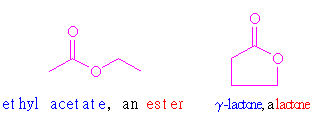 lactone structure