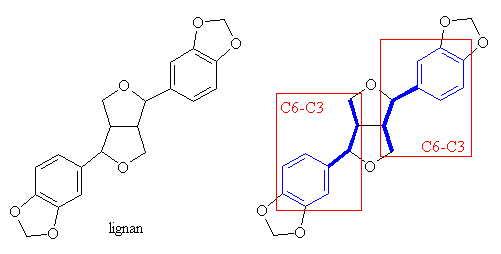 structure of lignan