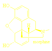 structure of alkaloid