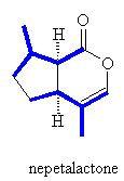 nepetalactone structure
