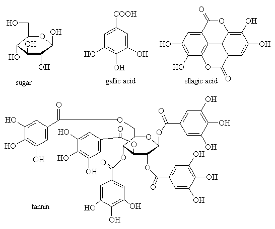 structure of tannin