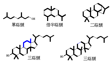 structure of terpenoids: isoprene rule