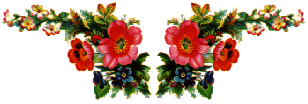 FLOR