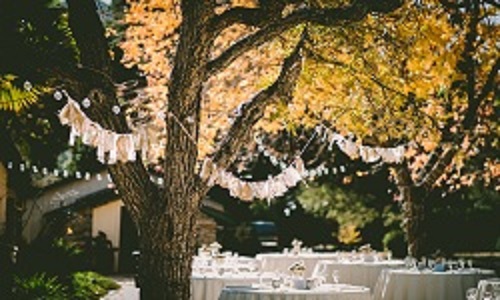 weddingdecor