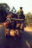 More piggy transport...