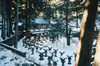 Nikko