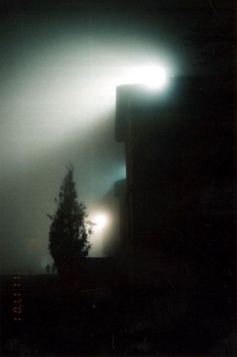 Another foggy picture