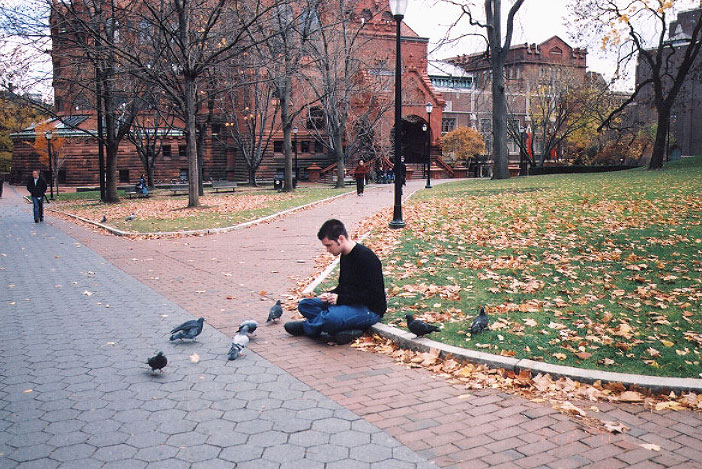 feeding pigeons