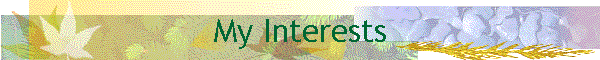 My Interests