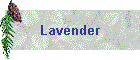 Lavender