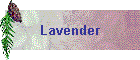 Lavender
