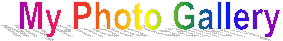 My Photo Gallery 